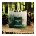thumbnail image 2 of Vela aromática Goose Creek Forest Pine 14.5 oz, 2 of 4