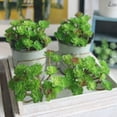 thumbnail image 7 of Artificial Succulent Plants - Faux Succulents Unpotted Fake Succulent Plants, Premium Crafting DIY Floral Decor for Home Garden Office Party, 7 of 7