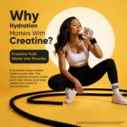 WeightWorld Sugar Free Creatine Gummies 5g (5000mg) | Pre & Post Workout Gummy | 90 Vegan Creatine Monohydrate Gummies for Men & Women (1 Month Supply) - 3 per Day | Non-GMO, Natural Lemon Flavor