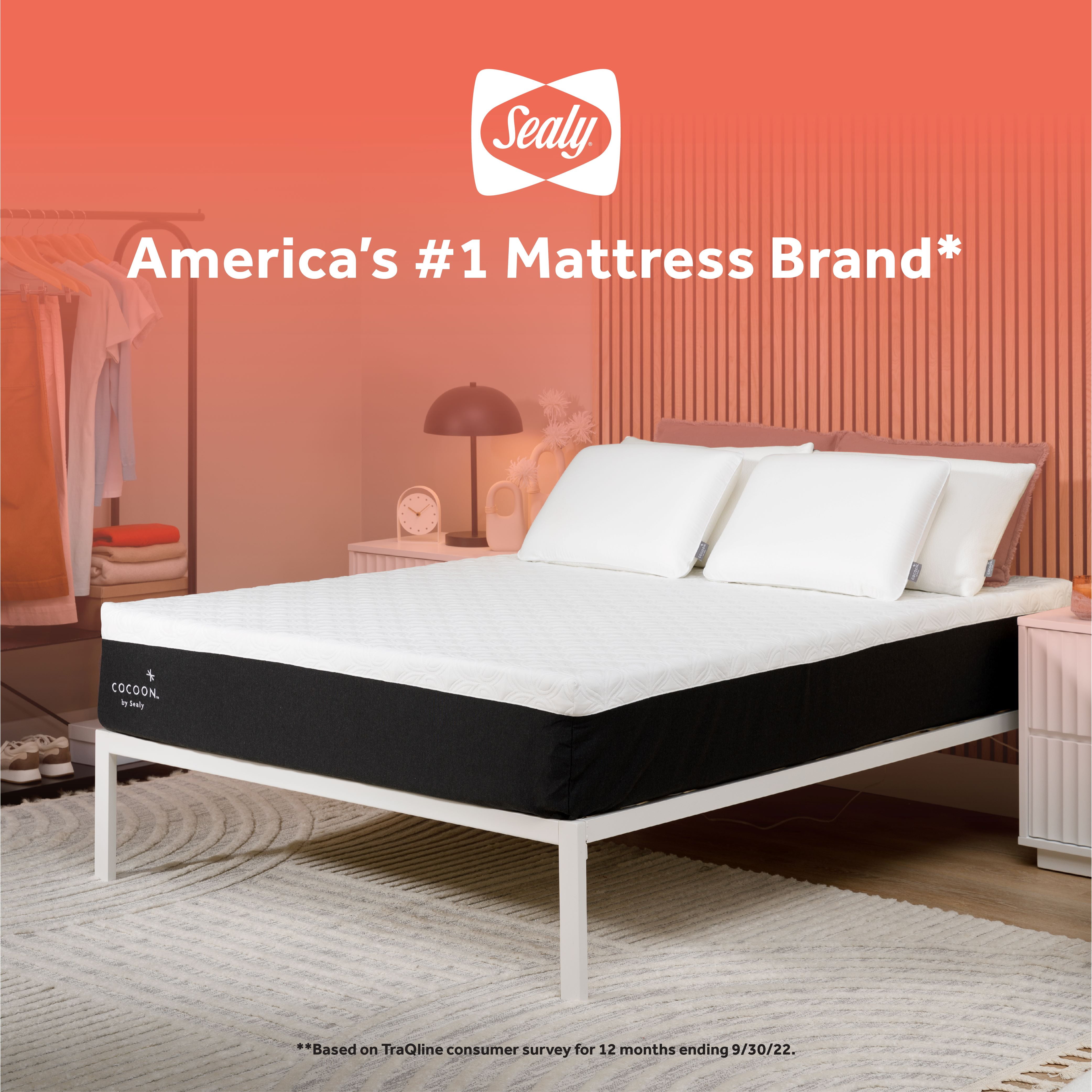 Sealy Cocoon Molded Medium Standard Bed Pillow - Hypoallergenic Cover