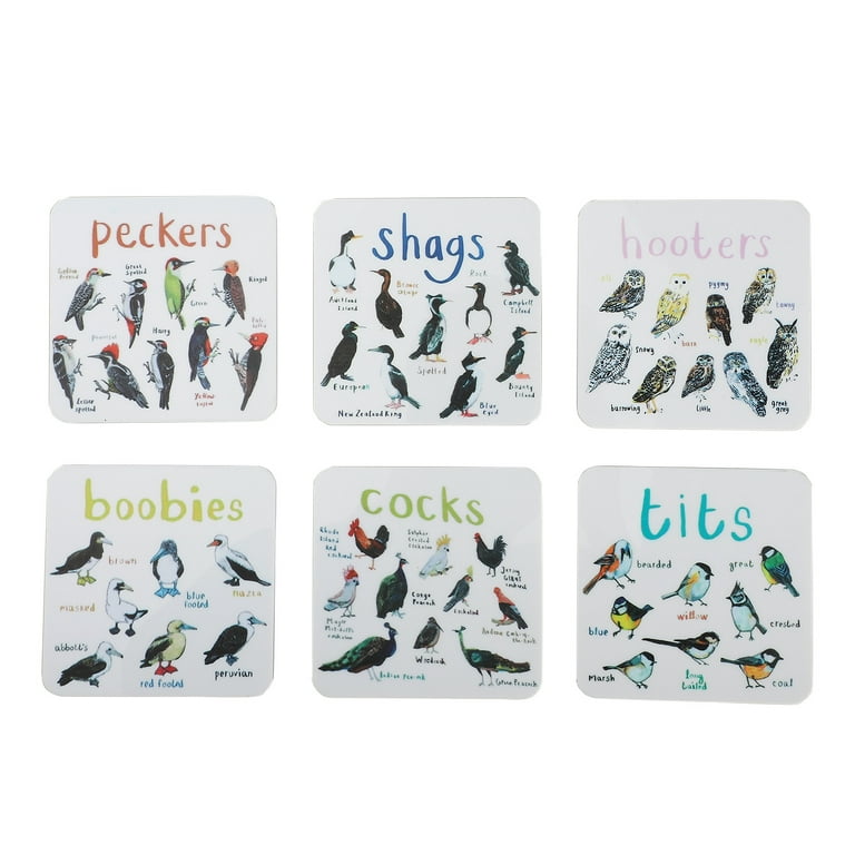 Garhelper Bird Pun Coasters,6pcs Acrylic quare Coaster Set for