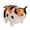 02, variant on Chubby Cat Plush Toys Stuffed Pet Cat Doll Cute Lifelike Kitten Hanging Toys Bags Decor Home Pillow