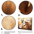 thumbnail image 3 of Designart "Africa Gazelles beauty" Animals Floater Framed Wall Decor, 3 of 7