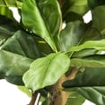 thumbnail image 5 of LCG Florals Artificial Tree, Fig Tree, 6 ft, Copper Metal Planter, 5 of 9