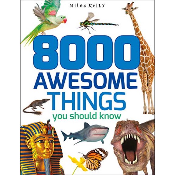 Pre-Owned 8000 Awesome Things You Should Know, 9781786170804, 1786170809, Paperback,