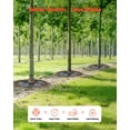 thumbnail image 4 of Vevor HSJSD10GAL4JUT9Z3V0 10 gal Tree Watering Bag & Ring Slow Release - Heavy Duty Automatic Drip System for Planting - Pack of 4, 4 of 10