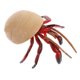 thumbnail image 1 of Modelo de cangrejo ermitaño, modelos de juguetes, animales marinos, mar, plástico, simulación, decoración para niños, 1 of 6
