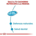 thumbnail image 3 of Alimento Húmedo Perro Cachorro Starter 145g Royal Canin, 3 of 4