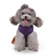 thumbnail image 3 of Disfraces de Halloween para perros y gatos, vestido de esqueleto de bruja, trajes de fiesta para mascotas, sudadera con capucha, falda divertida para perros y gatos, 3 of 5