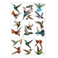 thumbnail image 1 of 9 pegatinas estáticas de colibrí, manualidades para decoración de puerta de Colcomx etiqueta de la ventana, 1 of 7