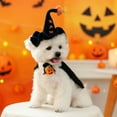 thumbnail image 4 of Halloween Pet Witch Hat for Dogs and Cats Cute Knit Cap Fashion Accessory Indoor Outdoor Wear Small Puppy Cat Dog Apparel, 4 of 4