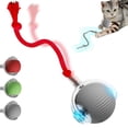 thumbnail image 1 of Actualización de Interactive Cat Toys Yilia 2026 para gatos de interior, 1 of 7