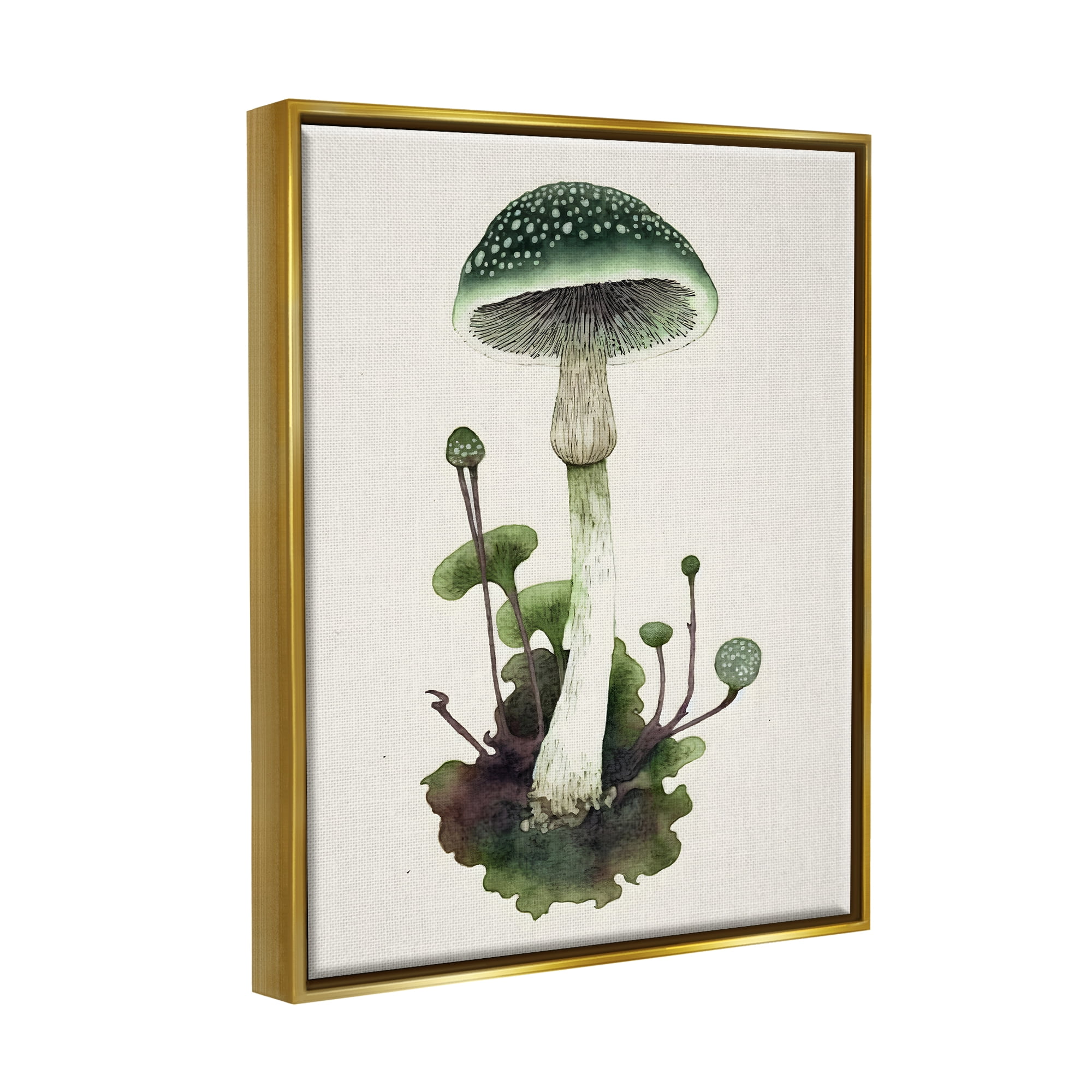 Stupell Industries Forest Green Mushroom Botanical & Floral Painting Gold Floater Framed Canvas Art Print Wall Art, 25 x 31
