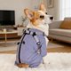 thumbnail image 4 of Gabardina de invierno para mascotas. Poliéster, cortavientos, cálida, diseño de cuatro patas, elegante y cómoda para todas las razas de perros y gatos. Para clima frío al aire libre, 4 of 4