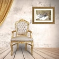 thumbnail image 3 of GraphINC Studio 32x23 Gold Ornate Wood Framed with Double Matting Museum Art Print Titled - Biplane 4, 3 of 4