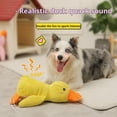 thumbnail image 2 of Biovetmd Duck Toy, 2025 New biovetmd Calming Duck Toy, Cute No Stuffing Quacking Ducks Toys, Calming Ducks Toys, Suits Dog's Vision, Chew-, 2 of 7