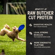 Vital Essentials Freeze Dried Minnows Dog Treats | Single Ingredient | Grain Free Treats for Dogs, 1 oz bag