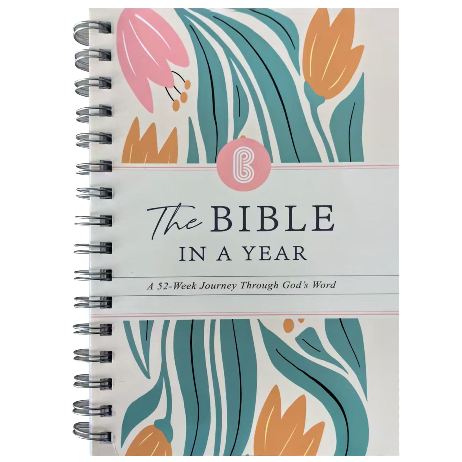 The Bible in A Year A 52-Week Bible Study Plan, Spiral Bible Study ...