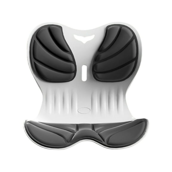 Ergonomic Lumbar Support Pillow for Office Chairs - Memory Foam Back Cushion for Posture Correction & Pain Relief - Home, Car, Work from Home & Floor Seat Comfort