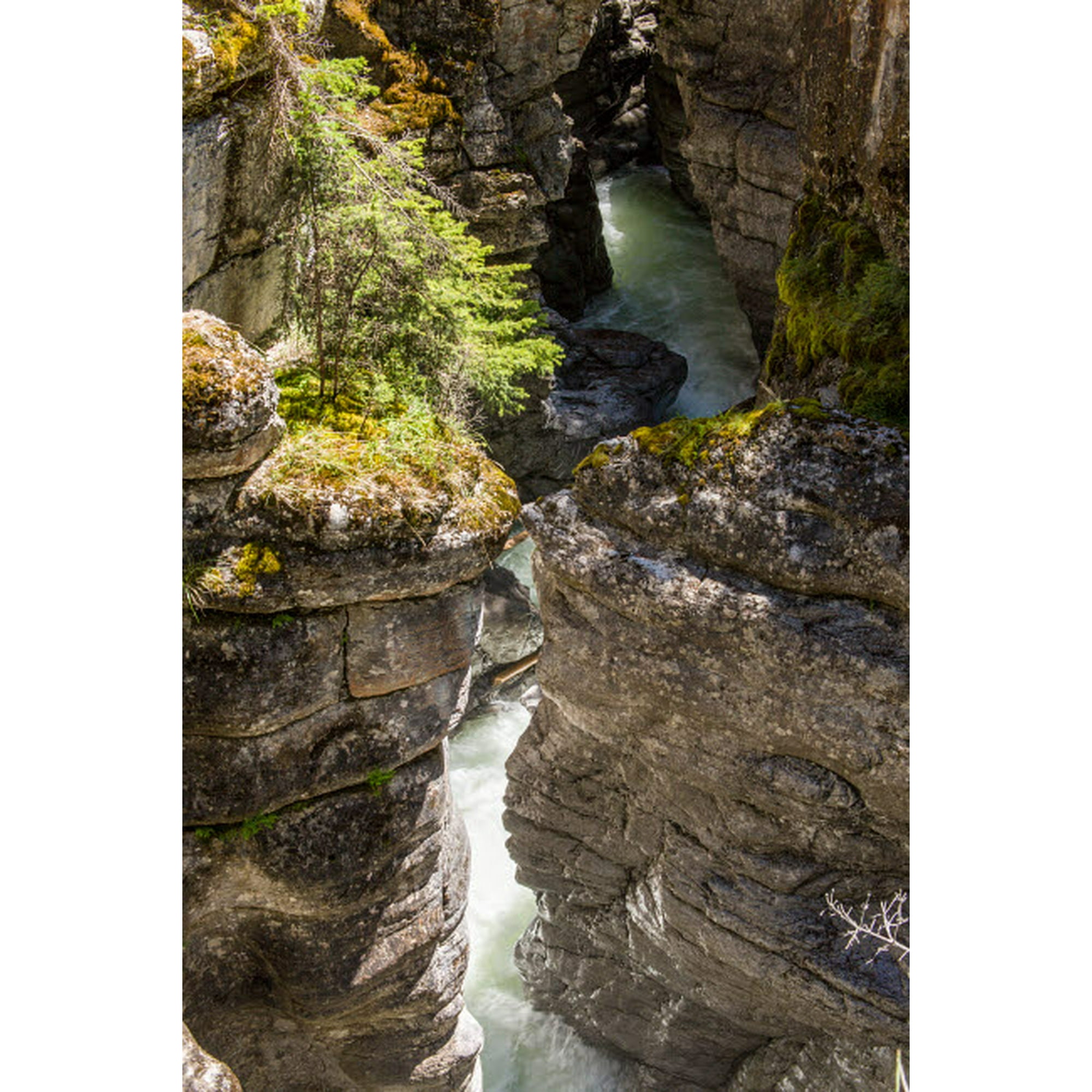 Jasper National Park, Alberta, Canada The Maligne river flows