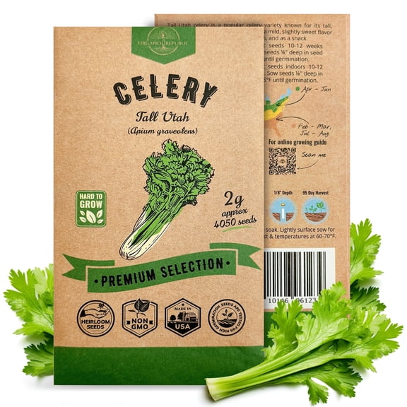 Organo Republic Tall Utah Celery Seeds – 4,050  Non-GMO Heirloom Seeds, 2g Packet for Planting Vegetables Indoors & Outdoors, Home Garden Celery Variety