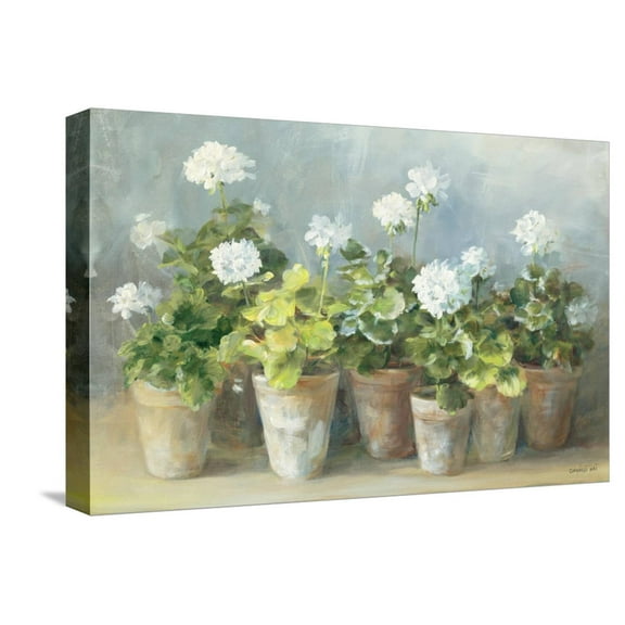 Art.com White Geraniums Stretched Canvas Print Wall Art by Danhui Nai, 18" x 12"
