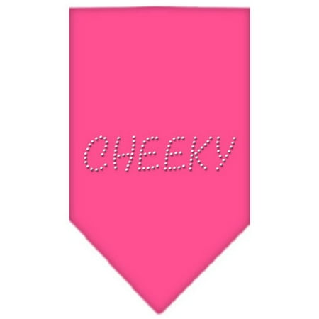 Blue Full Rhinestones Snap - Cheeky Rhinestone Bandana Bright Pink Large