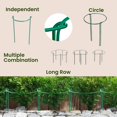 thumbnail image 4 of Estacas de soporte para plantas K-Brands Tall para interiores y exteriores, paquete de 6, 4 of 7