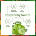 thumbnail image 2 of SVA Tamanu Seed Oil Organic - 32 fl oz – 100% Natural Cold Pressed Tamanu Oil - for Face, Skin Care, Hair Care, Scalp Massage & Body Massage – Carrier Oil, 2 of 7