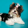 thumbnail image 4 of Shisuyan Accessoires pour Animaux Design à la Mode Rose 10 Pcs 1X0.8X0.8In, 4 of 8