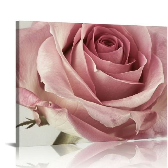 COMIO Pink Rose Close Up Canvas Wall Art Blush Pink Room Decor Misty Pink Floral Wall Paintings for Living Room Girls Bedroom Home Office Decor Modern Framed Artwork Women Gifts