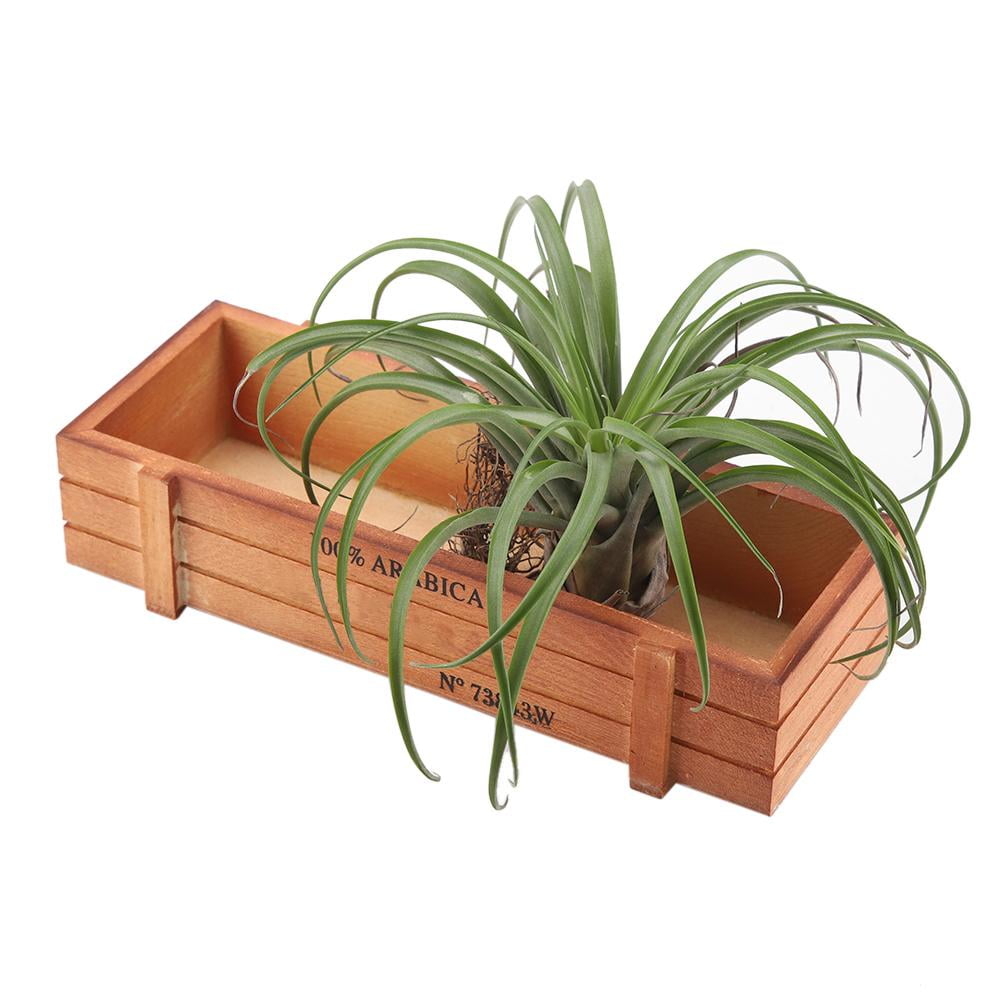 Wooden Succulent Planters Small Pots Box Tray Plant Flowerpot Stylish Storage Wooden Succulent Planters Small Pots Box Tray Plant Flowerpot Stylish Storage