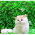 thumbnail image 3 of Set de regalo para bebés HUOGUO Simulation Cat, juguetes hechos a mano, 3 of 5
