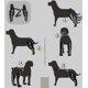 thumbnail image 3 of Rodillera para perros Yuxing Doble para patas traseras con correas reflectantes, 3 of 3