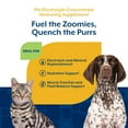 thumbnail image 6 of NaturVet Pet Electrolyte Concentrate for Dogs and Cats, 16 fl oz, 6 of 8