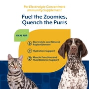 NaturVet Pet Electrolyte Concentrate for Dogs and Cats, 16 fl oz