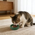 thumbnail image 4 of BotaniNest Lick Bowl For Bowl For Anxiety Slow Feeding & Training Strong Suction Base For Secure Attachment To Tiles & Glass Reduces Stress & Digestion, 4 of 7