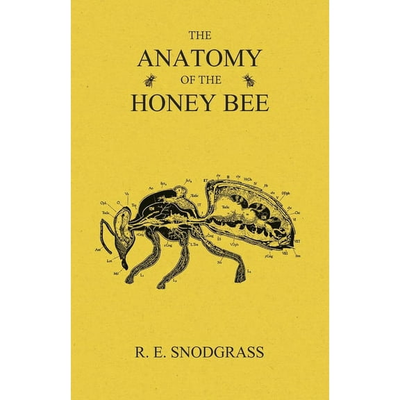 The Anatomy of the Honey Bee, (Paperback)