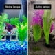 thumbnail image 5 of ZHAOCHENG GROOFOO X3 - Luz LED de alto brillo para acuario (220 V, 6 W, 600 lm, 3 unidades) para acuarios de 8 a 15 pulgadas, 5 of 5