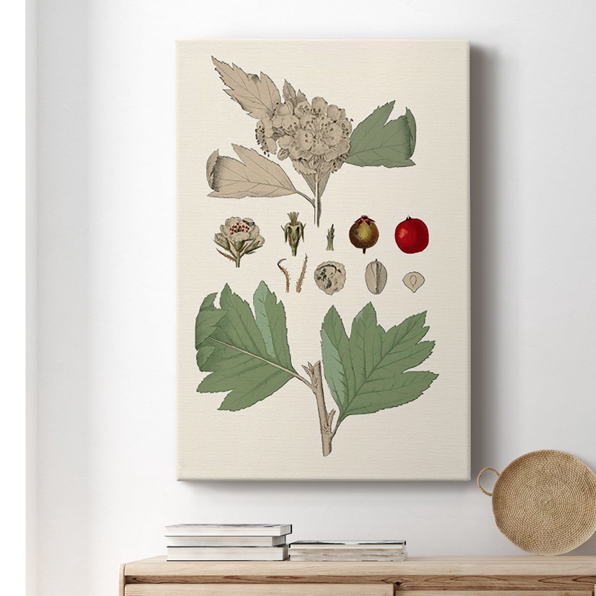 Leaves & Berries IV Premium Gallery Wrapped Canvas - Ready to Hang