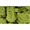 thumbnail image 4 of FOLIAGE CLUSTERS, LIGHT GREEN, 4 of 4