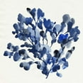 thumbnail image 3 of Warren, Annie 20x20 Black Modern Framed Museum Art Print Titled - Cobalt Blossom II, 3 of 5