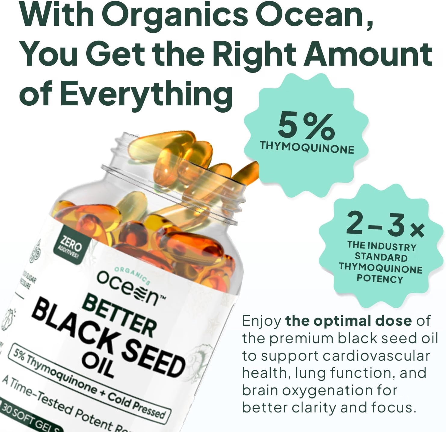Organics Ocean Better Black Seed Oil Cold Pressed - Pure Nigella Sativa Oil for Immune Support - 5% Thymoquinone - Support Memory, Vitality, and Cellular Health