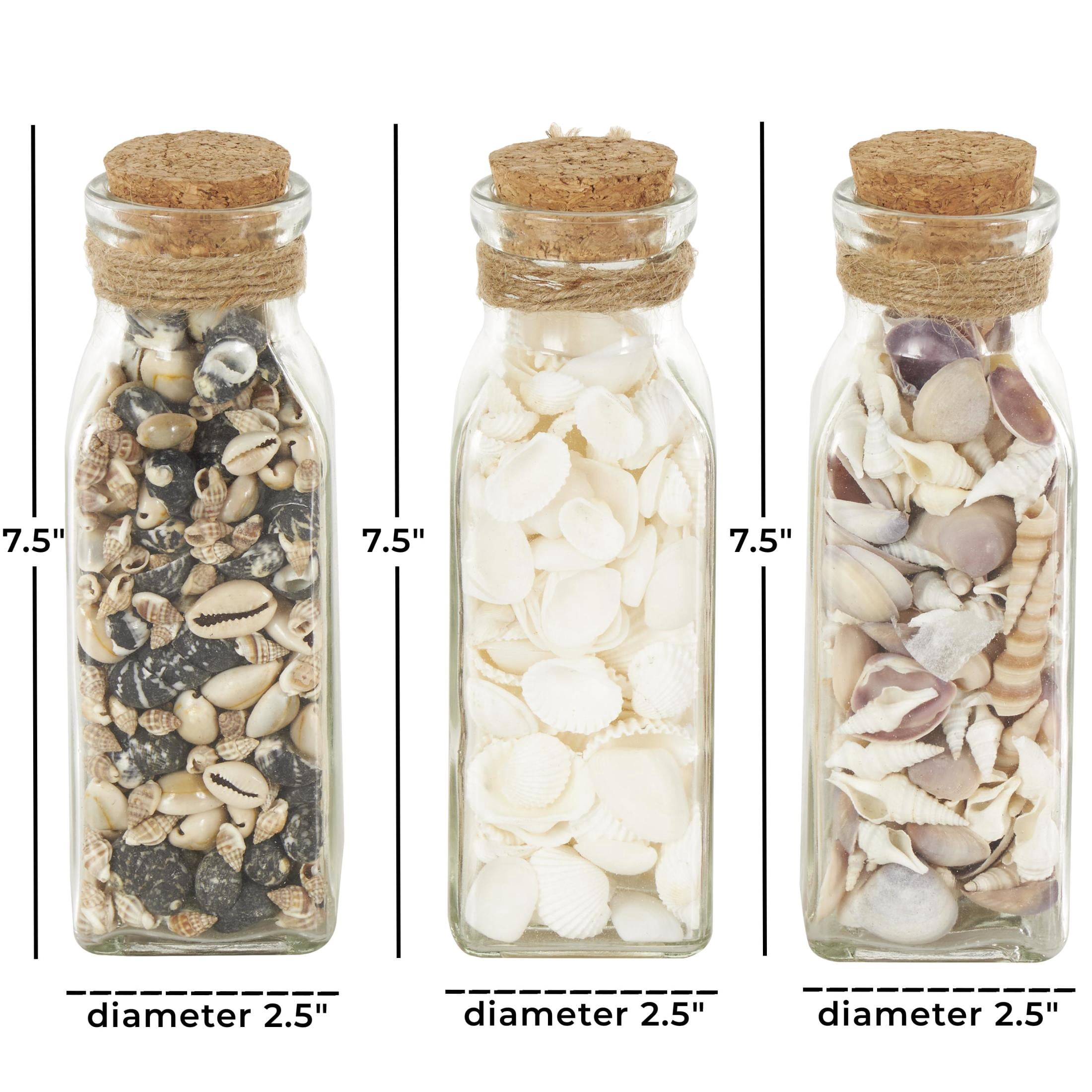 DecMode Clear 3" Glass Orbs & Vase Filler with Seashells and Jute Rope Accents (3 Count)