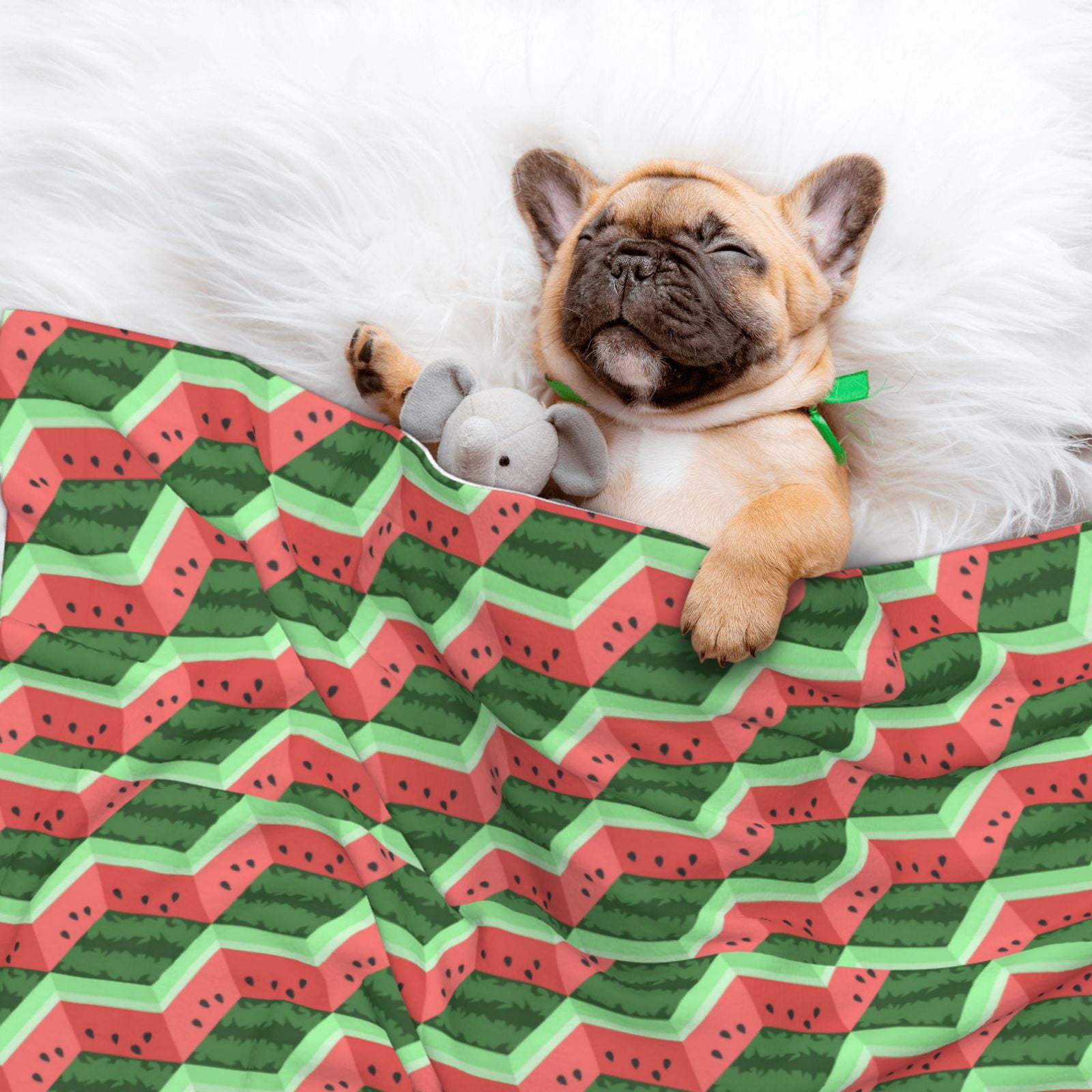 Naloa Geometric Watermelon Dog Blanket, 3 Sizes Cat Blanket for Indoor Cats Large Medium Small Dog Gifts-Medium