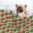 thumbnail image 3 of Pofeuu Geometric Watermelon Print Puppy Blanket,Dog Blankets,Pet Blanket Cozy Cat Blankets for Indoor Cats, Fuzzy Pet Blanket for Kitten Doggy Dog Blankets-Medium, 3 of 8