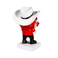 thumbnail image 3 of Texas Tech Red Raiders Lil Big Head Mascot Garden Statue, 3 of 3