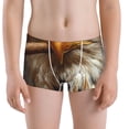 thumbnail image 5 of Yiaed Funny Bald Eagle Print Boys' Boxer Briefs Cotton Casual Stretch Comfort Boys Boxers - Kids Boxer Briefs Underwear for Boys (6-18)-Medium, 5 of 5