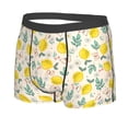 thumbnail image 2 of Kll Flowers And Butterflies Men'S Cotton Boxer Briefs Underwear-Medium, 2 of 9
