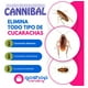 thumbnail image 2 of 6 Pz Caja  Veneno Mata Cucaracha Cannibal Exterminador Plaga, 2 of 10